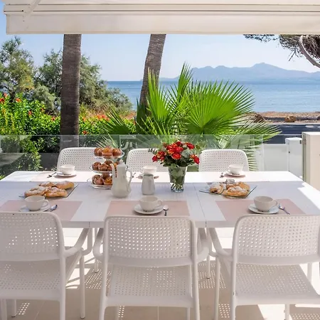 Amfora * Port de Pollença