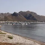 Amfora